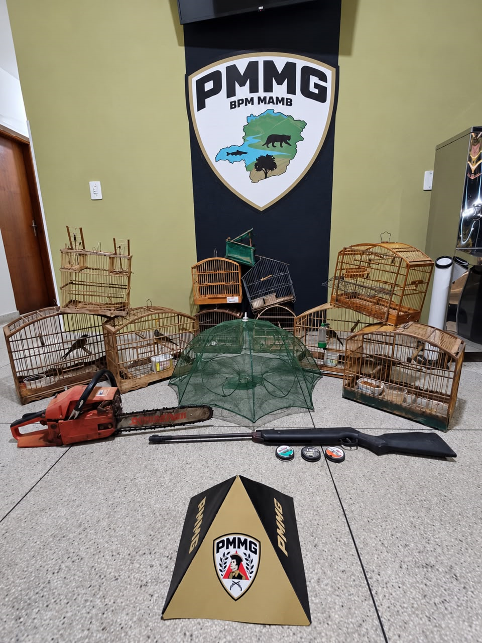 PM apreende pássaros em cativeiro e animais já abatidos em operação contra caça ilegal