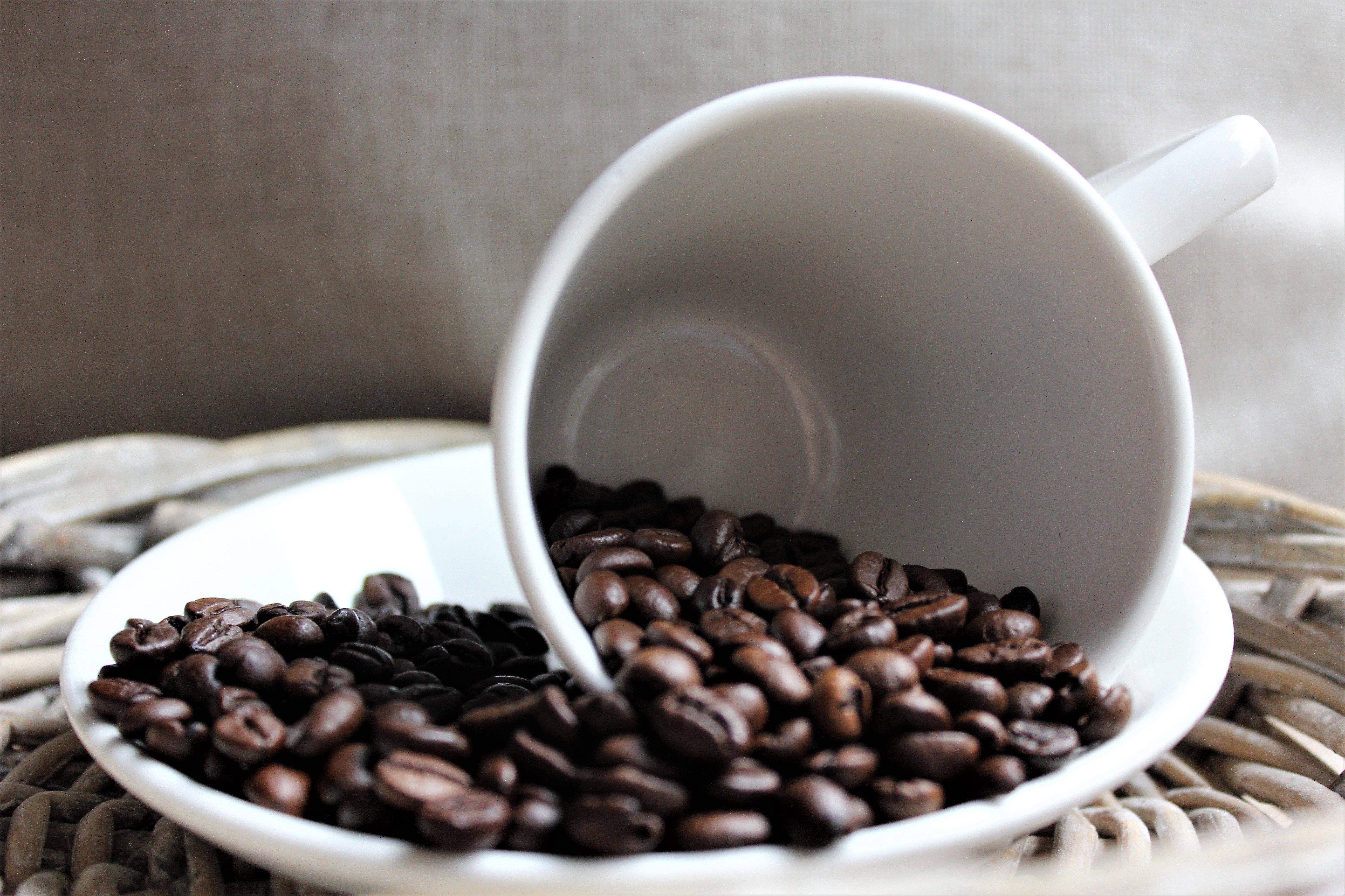 Concurso de cafés de Minas Gerais bate recorde com 1.982 amostras