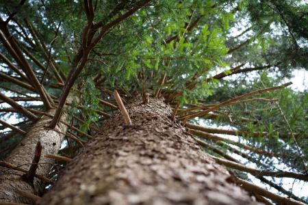 Terrenos e área verde de loteamento em região urbana de Itamonte.
