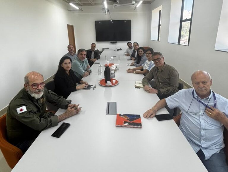 Comitê de Terras Raras de Poços de Caldas faz reunião com representantes do Governo Estadual