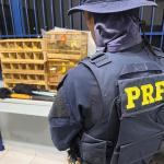 PRF apreende 16 aves silvestres transportadas ilegalmente e autua três homens na BR-146, em Poços de Caldas