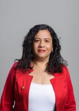 Professora Hilvany