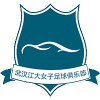 Logo do time